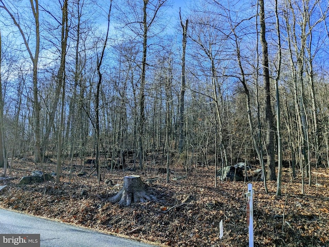 Listing photo 2 for LOT2 Trego Mountain Rd, Keedysville MD 21756