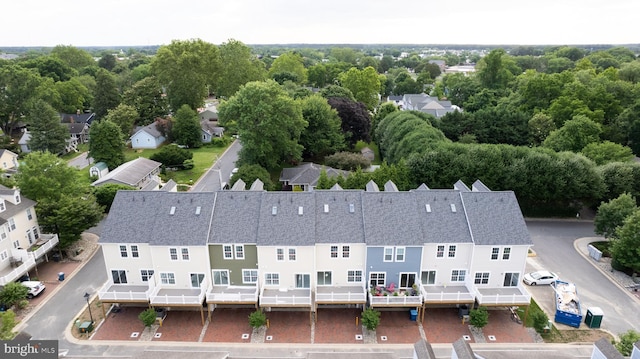 drone / aerial view