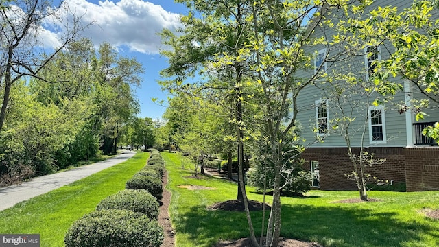 exterior space with a yard