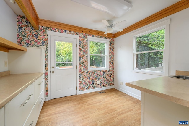 interior space with ceiling fan, light hardwood / wood-style flooring, and plenty of natural light