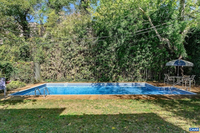 view of pool with a yard