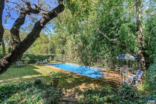 view of swimming pool with a yard