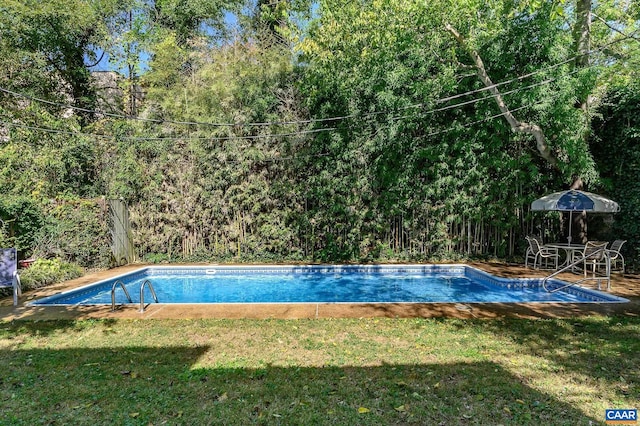 outdoor pool with a lawn