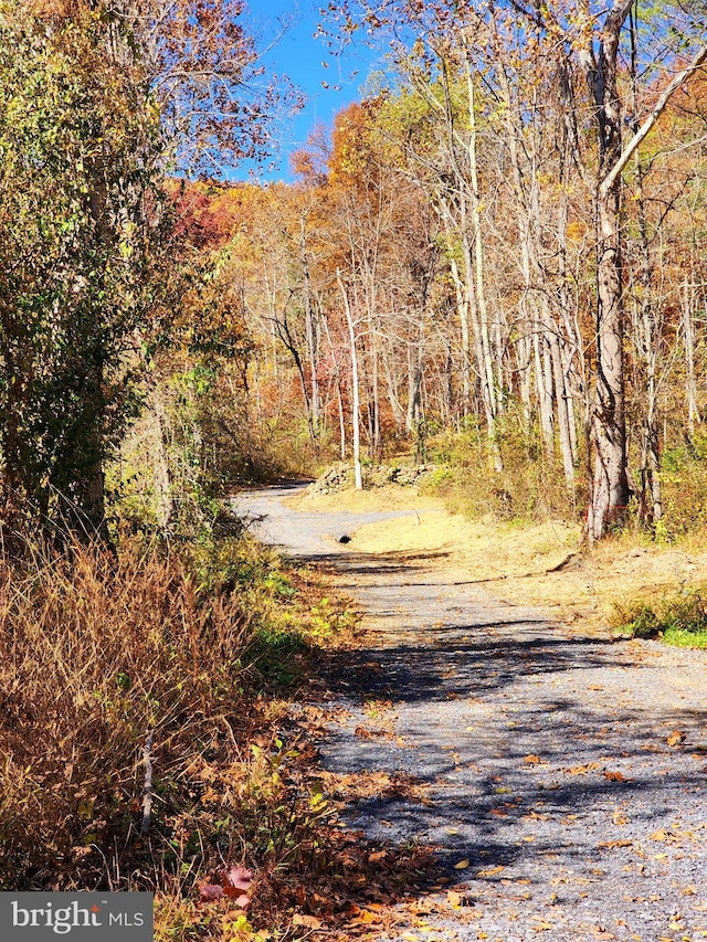 view of road