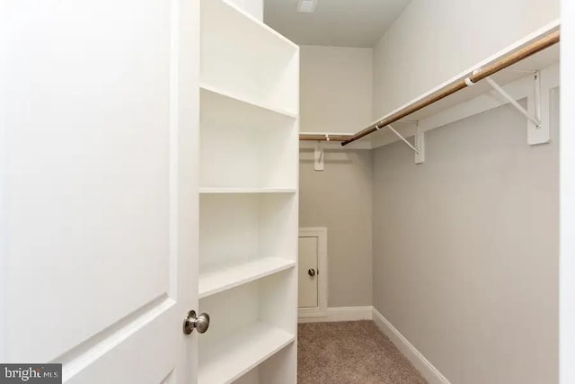 spacious closet featuring light colored carpet