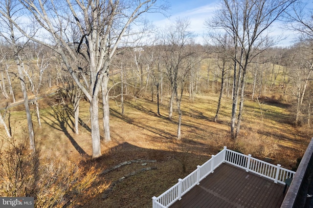 view of yard featuring a wooden deck