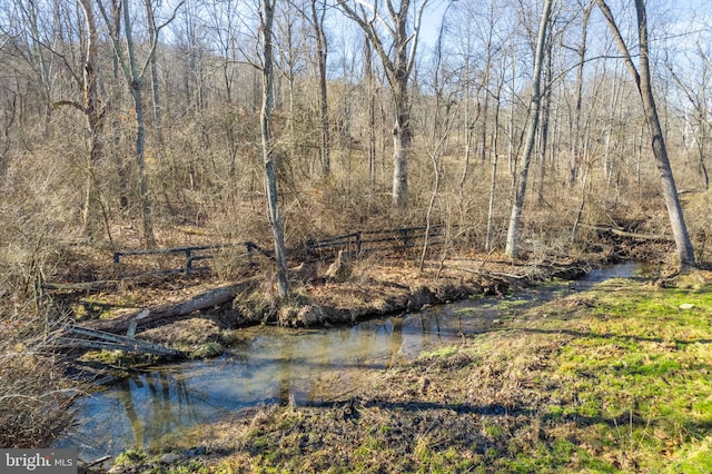 view of yard featuring a water view