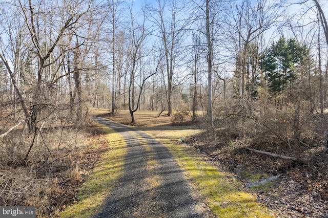 view of road