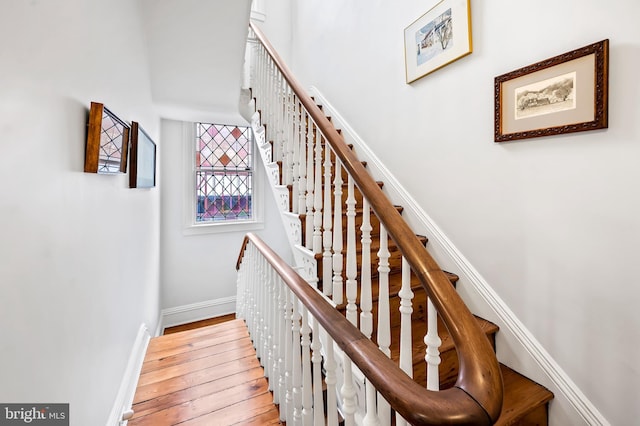 stairs featuring wood-type flooring