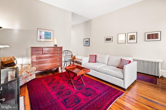 living room with hardwood / wood-style flooring and radiator heating unit