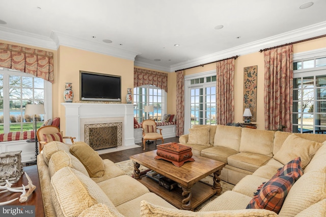 living room featuring ornamental molding, a healthy amount of sunlight, and wood-type flooring