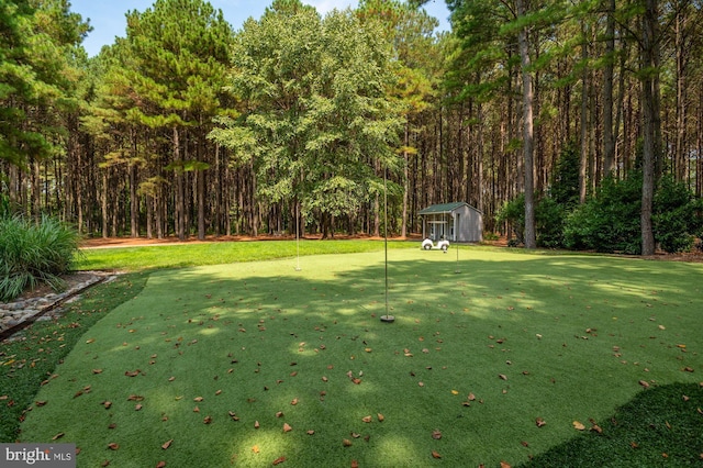 view of yard featuring a storage shed