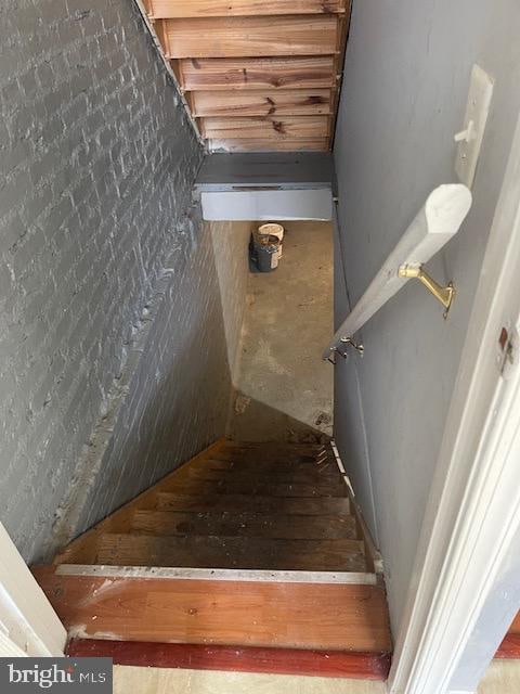 stairs with dark hardwood / wood-style flooring