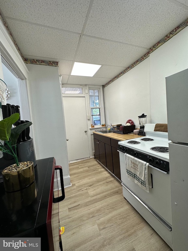 kitchen featuring light wood-type flooring, white appliances, a drop ceiling, and sink