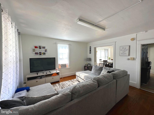 living room featuring dark hardwood / wood-style floors