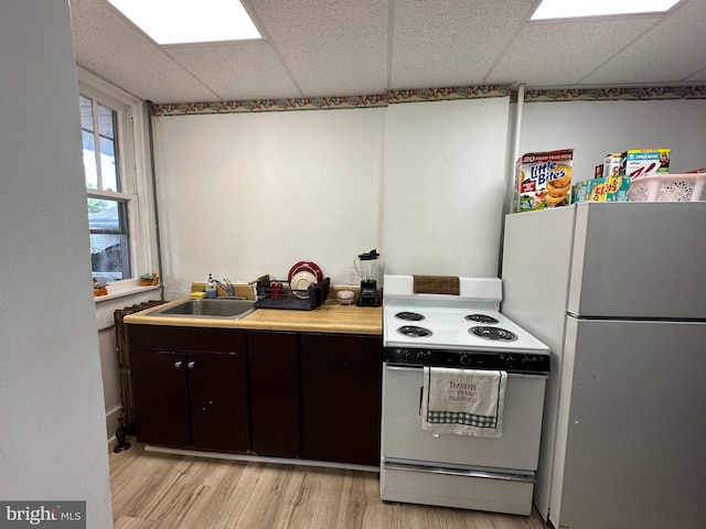 kitchen featuring white appliances, a drop ceiling, sink, and light wood-type flooring