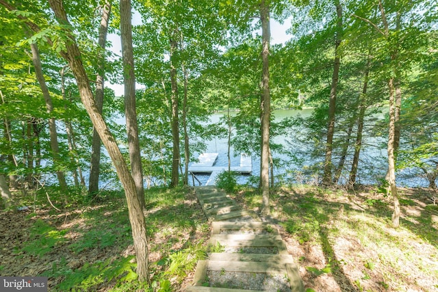 view of yard featuring a boat dock