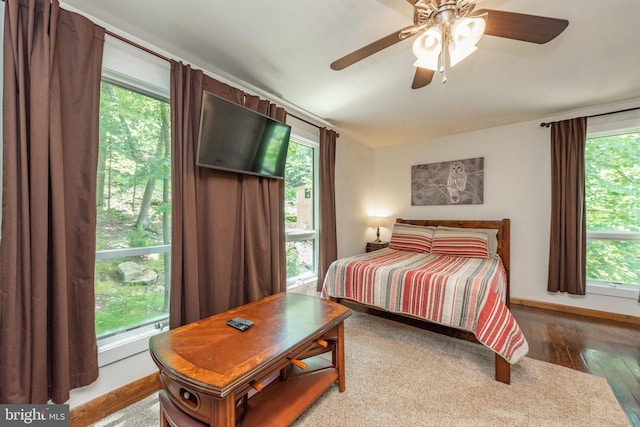 bedroom featuring ceiling fan, dark hardwood / wood-style floors, and multiple windows