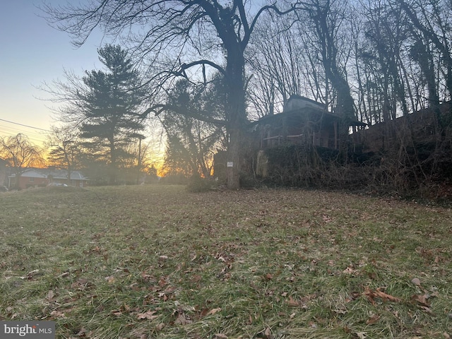 view of yard at dusk