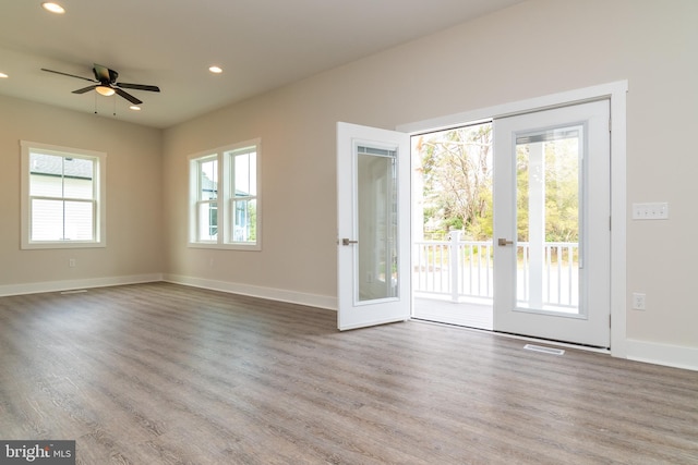 entryway featuring wood-type flooring and a healthy amount of sunlight