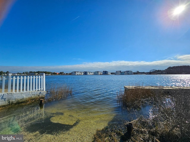 dock area with a water view