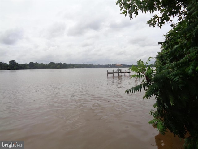 property view of water with a boat dock