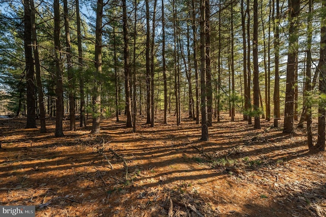 365 Creek Rd, Delran NJ, 08075 land for sale