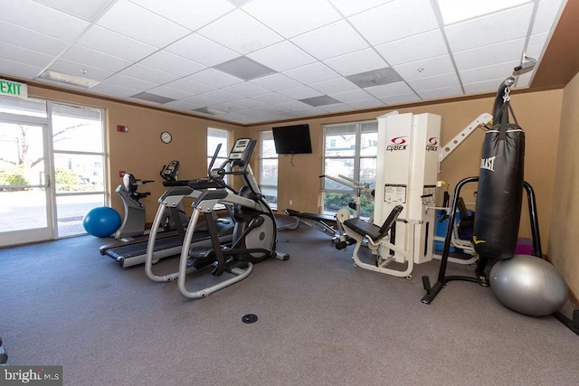 workout area featuring a drop ceiling, crown molding, and carpet floors