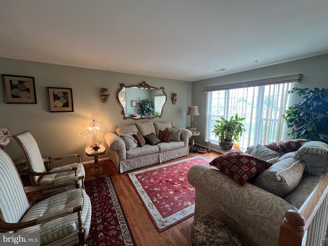 living room featuring wood-type flooring