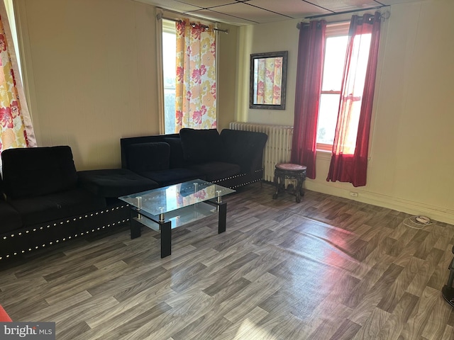 living room featuring hardwood / wood-style flooring, a healthy amount of sunlight, and radiator