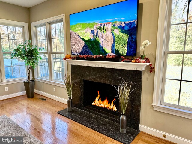 details with baseboards, wood finished floors, and a high end fireplace