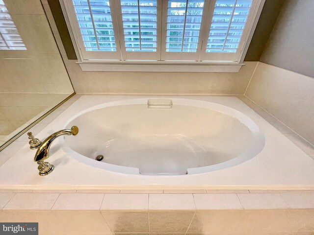 bathroom with a garden tub and a wealth of natural light