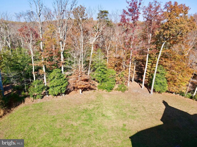 view of yard featuring a wooded view