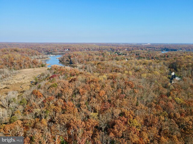 bird's eye view with a view of trees and a water view