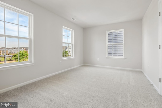 spare room with carpet and a wealth of natural light