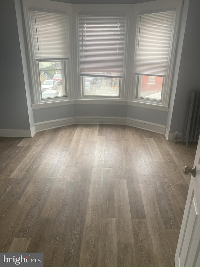 spare room with radiator heating unit and light hardwood / wood-style floors