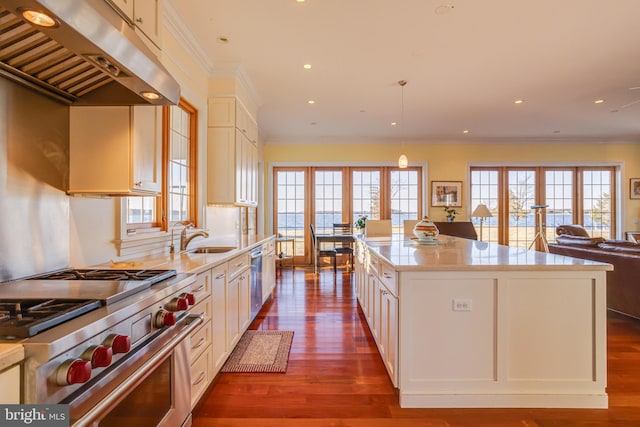 kitchen featuring pendant lighting, a center island, exhaust hood, stainless steel appliances, and a healthy amount of sunlight