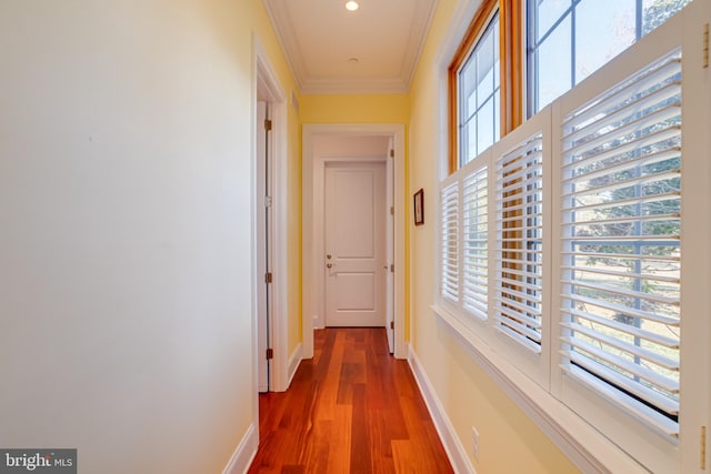 corridor with dark wood-type flooring and ornamental molding