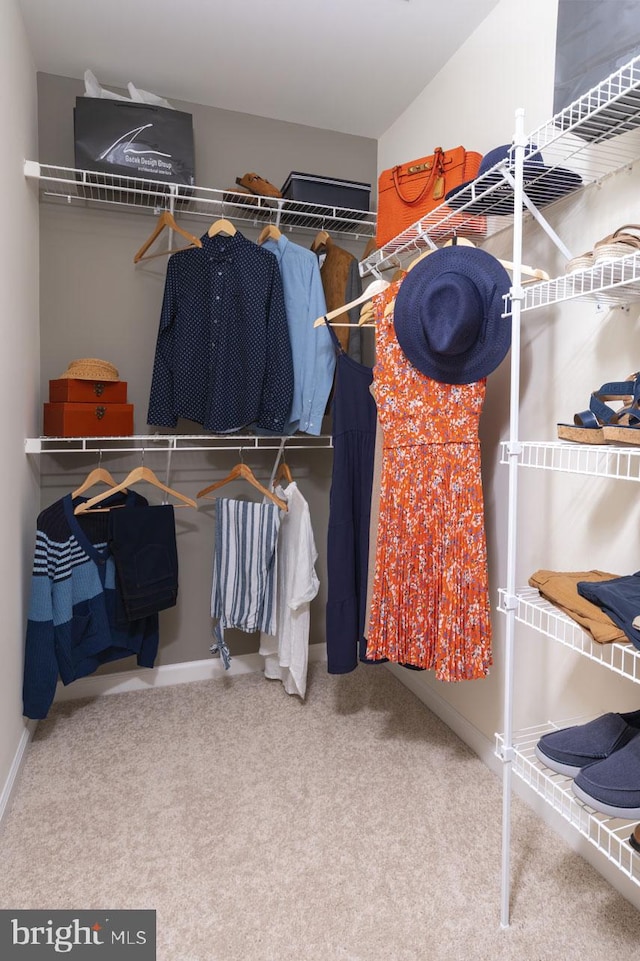 walk in closet with light carpet