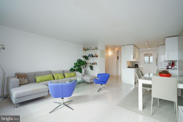 living room with light hardwood / wood-style flooring