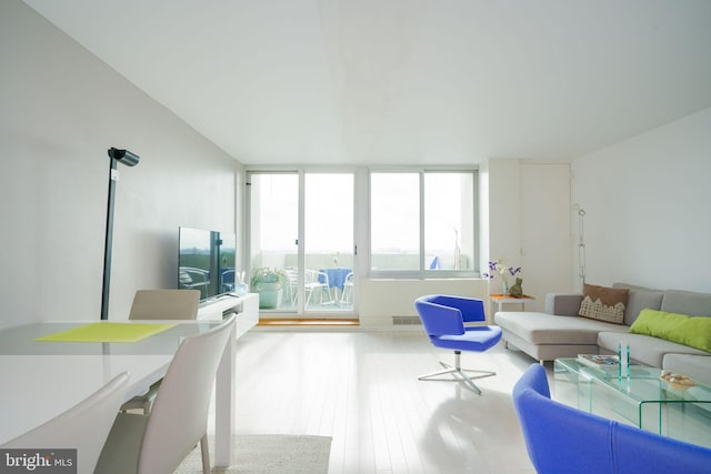 living room featuring light hardwood / wood-style floors