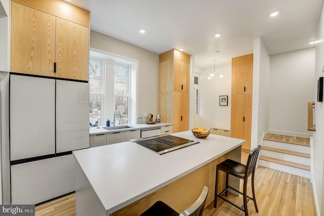 kitchen with a breakfast bar, sink, light wood-type flooring, and black electric cooktop