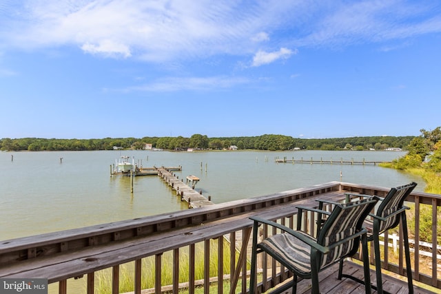 dock area with a water view