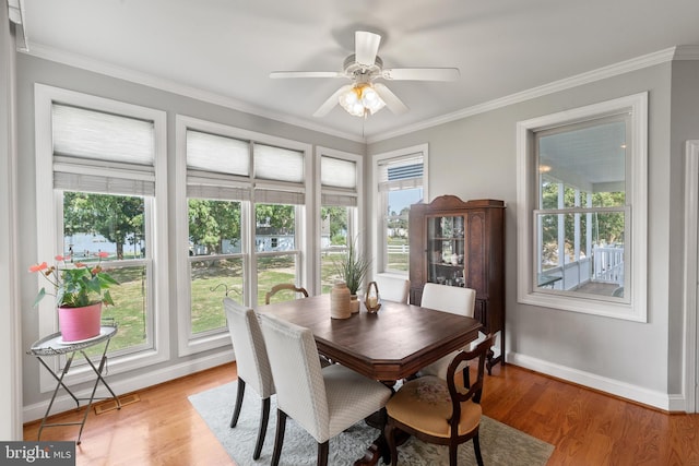 dining room featuring ceiling fan, ornamental molding, and light hardwood / wood-style flooring