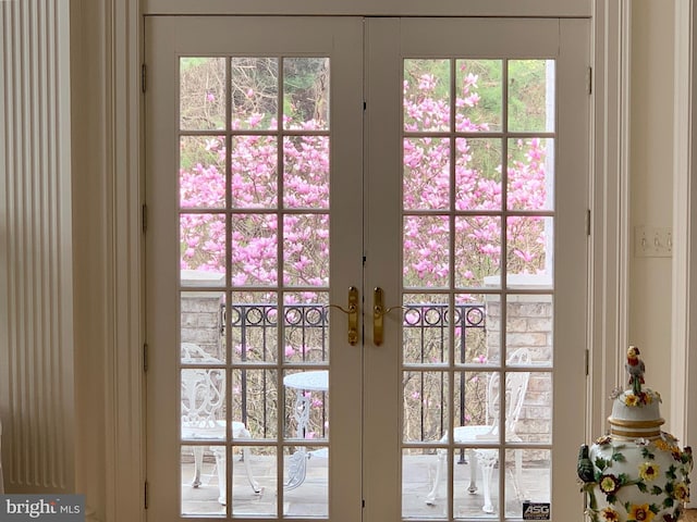 entryway with french doors and plenty of natural light