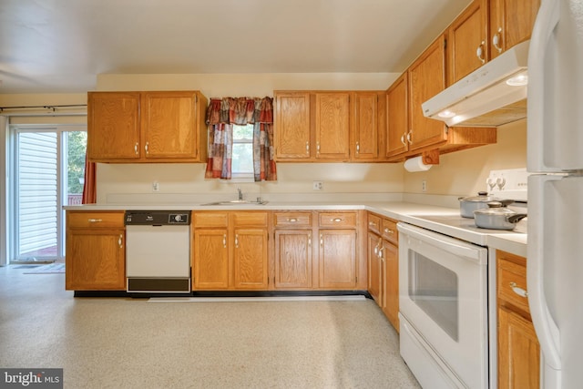 kitchen featuring sink, white appliances, and a wealth of natural light