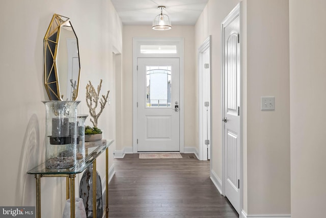 foyer entrance featuring dark wood-type flooring