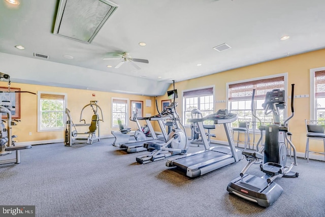 workout area with plenty of natural light, carpet floors, and ceiling fan