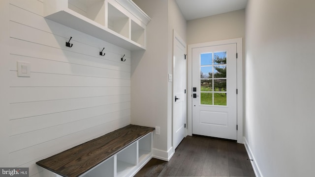 mudroom featuring dark hardwood / wood-style floors