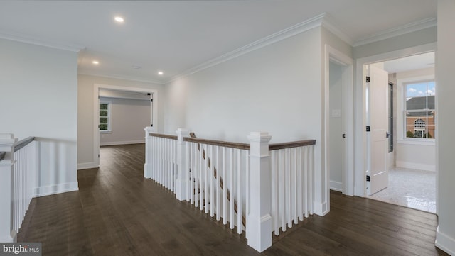 hall featuring dark wood-type flooring and crown molding